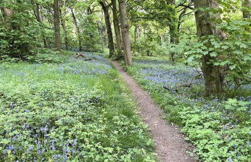 The Old Cow Shed - Foto 22