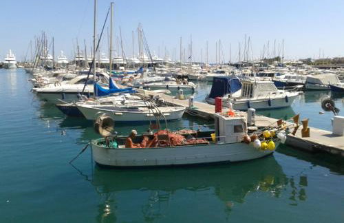 Ligurisches Rustico, umgeben von Olivenhainen am Dorfrand - Foto 31