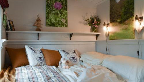 Spruce Shepherd's Hut - Photo 3