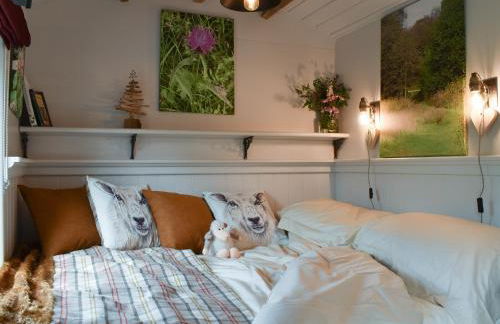 Spruce Shepherd's Hut - Foto 3