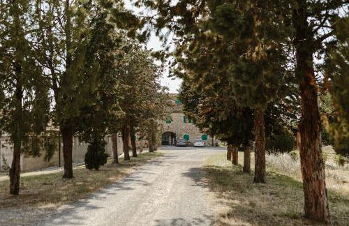 Perelli Winery - Foto 1