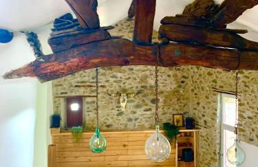 Grande maison cévenole authentique - Foto 8