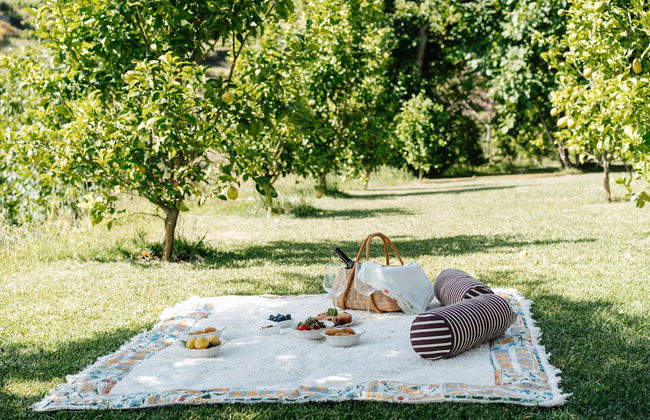 D'Autor Village - Photo 40