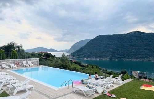 purple nest - Foto 1