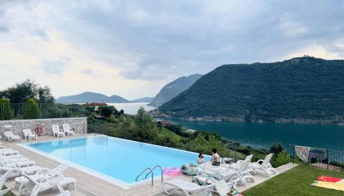 purple nest - Foto 1