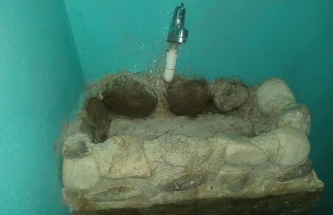 Berkey's Jungle Paradise - Photo 38