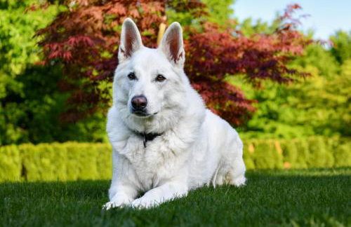 Apartments Bramado - Foto 7