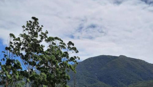 Espaço aconhegante - Foto 5