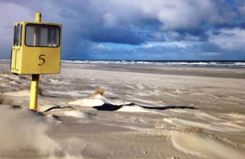 Dünenmeer - Photo 14