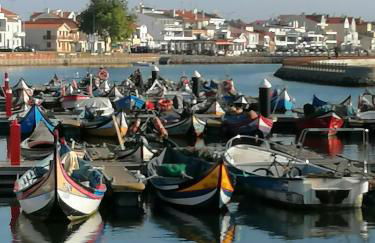 Verde Ria apartamento - Foto 27