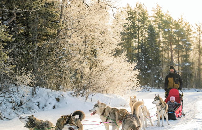 The Elegant Haistila - Foto 61