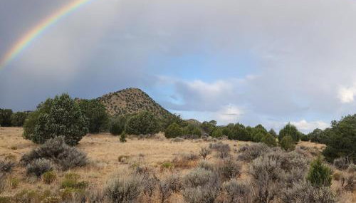 The Elevated Retreat - Foto 5