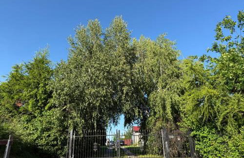 U Magdy nad Tałtami I - Photo 1