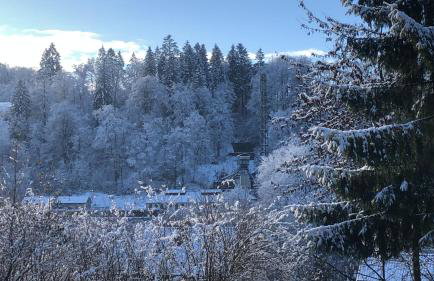 Waldläufer - Foto 16