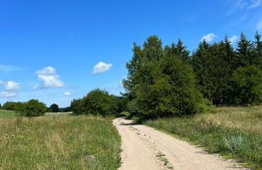 Lake House Borowe - Foto 62