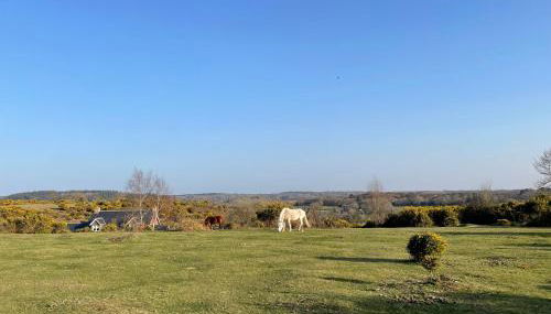 Roundhill New Forest - Foto 4