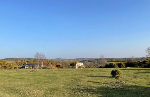 Roundhill New Forest - Foto 4