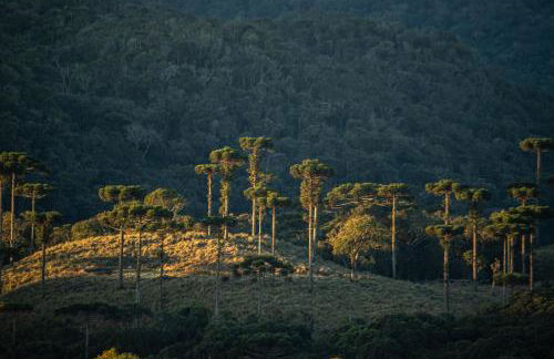 Refúgio nas Nuvens, Domo Omega Luxuoso com Fogo de Chão e Hidro Panorâmica - Photo 33