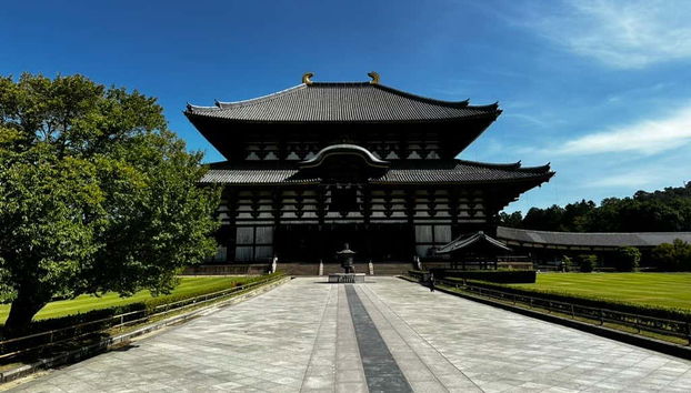 Free tour por Nara - Foto 4