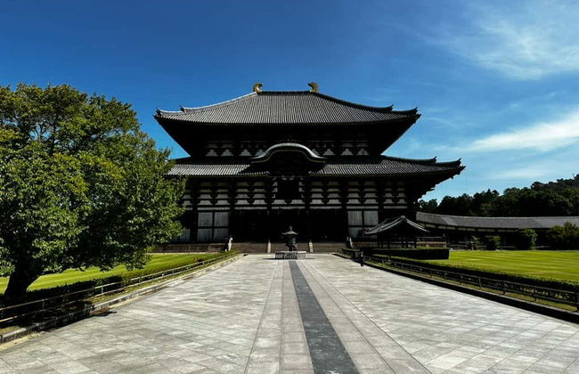 Free tour por Nara - Foto 4