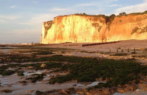 The Old Fenwick House - Foto 73