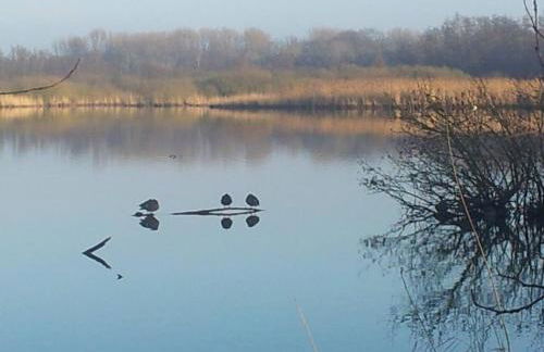 Sonniges Häuschen mit Garten - Foto 20