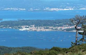 Rias Baixas Rianxo - Foto 37