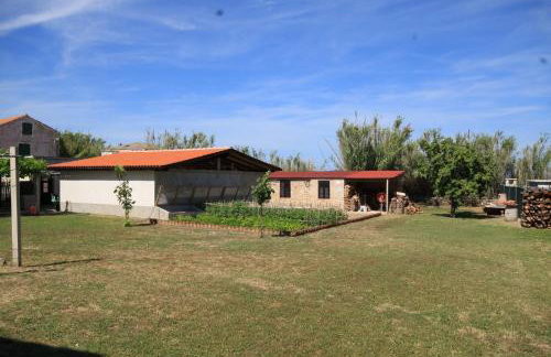 Family friendly seaside apartments Susak, Losinj - 8050 - Foto 14