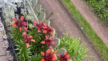 Cosy 2-Bed Home by Pink Flamingo Holdings, Perfect for Business & Groups - Foto 4