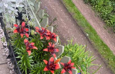 Cosy 2-Bed Home by Pink Flamingo Holdings, Perfect for Business & Groups - Photo 4