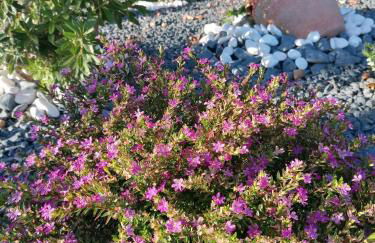 Casa de Férias do Parque da Peneda 2 - Foto 48