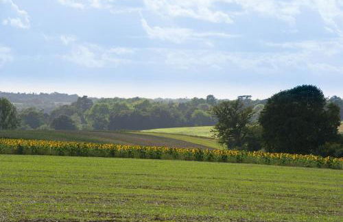 The Stables, relax in 5 star style and comfort with lovely walks all around - Foto 33