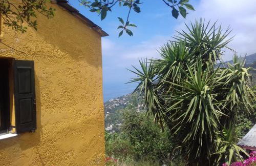 Ikarian Centre - Accommodation & mountain hiking - Photo 11