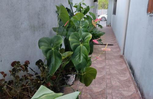 Lar e Aconchego - Foto 11