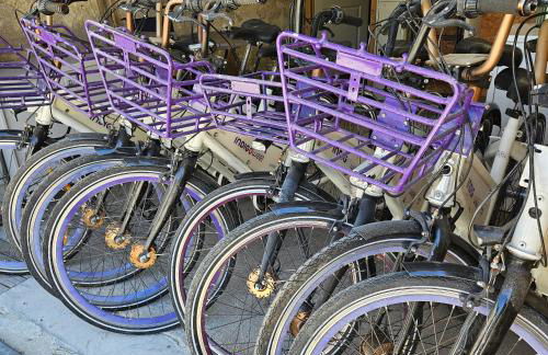 Gite le Montinho - Photo 30