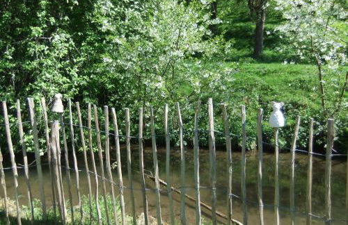 Gerberlaube - Foto 19