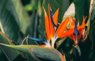 Hotel Rural La Casa Amarilla - Foto 29