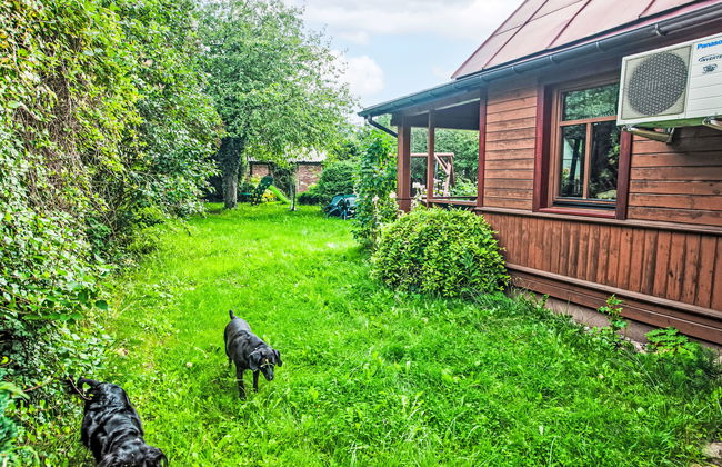 U Prababci Olgi - Foto 33