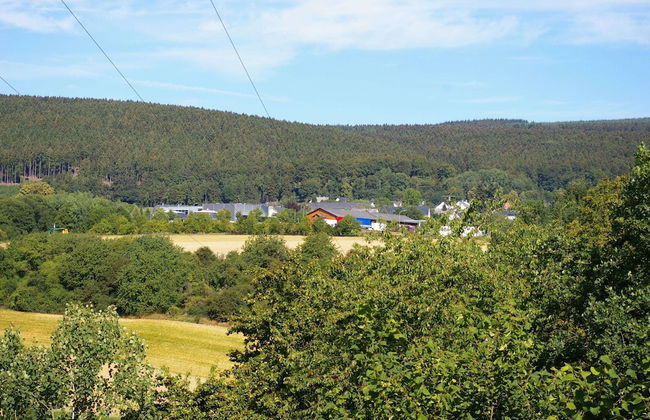 Lovely Holiday Home in Stipshausen With Terrace - Foto 60