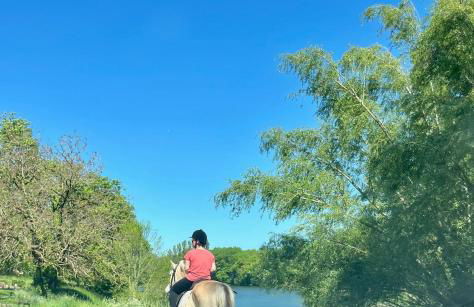 Le SPOT Piscine chauffée & Fun - Foto 17