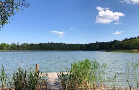 BrandenburgApartments-POTSDAM - Foto 13