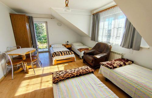 Agrokrysia - Foto 11