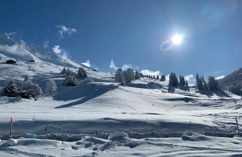 Aravis 1500, No 4, Appartement 3 pièces, Vue montagne - Foto 8