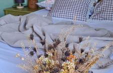 Casa do Bougainvillea Mundaú-Trairi-Ce - Foto 32