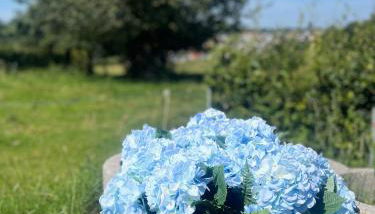 Schweden Chalet, Haus 3 - Foto 4, Garden view