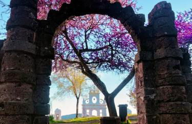 La Flor De La Xara - Foto 17