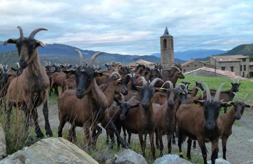 Casa rural cal Rei - Foto 81