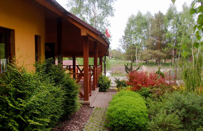 Borowikowa - Foto 17