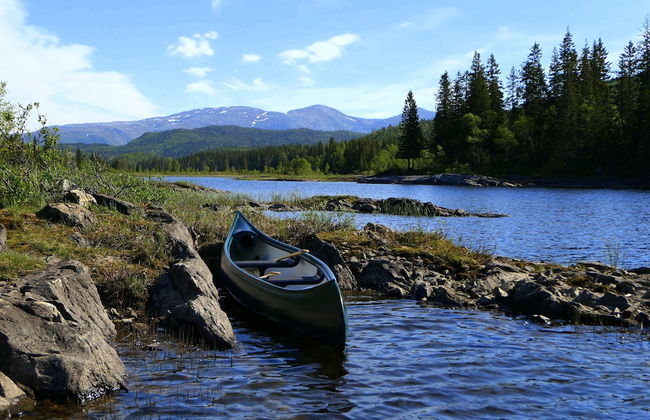Velfjord camping & hytter - Foto 54