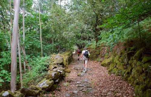 Apartamento Artur - Foto 38
